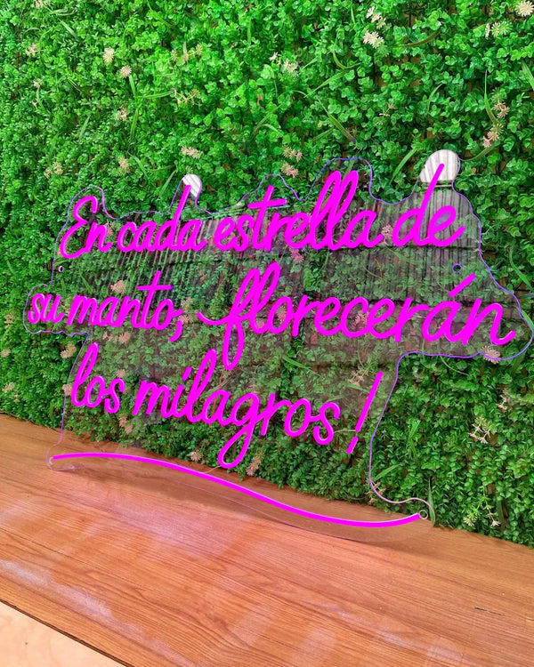 Proyecto