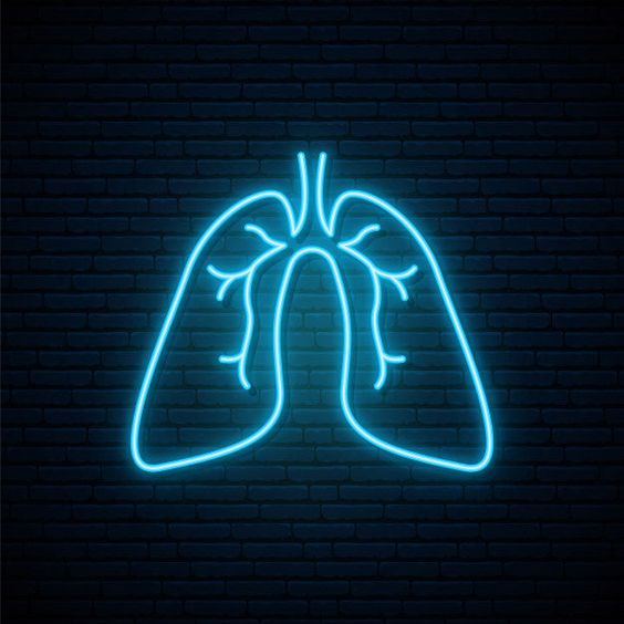 Pulmones