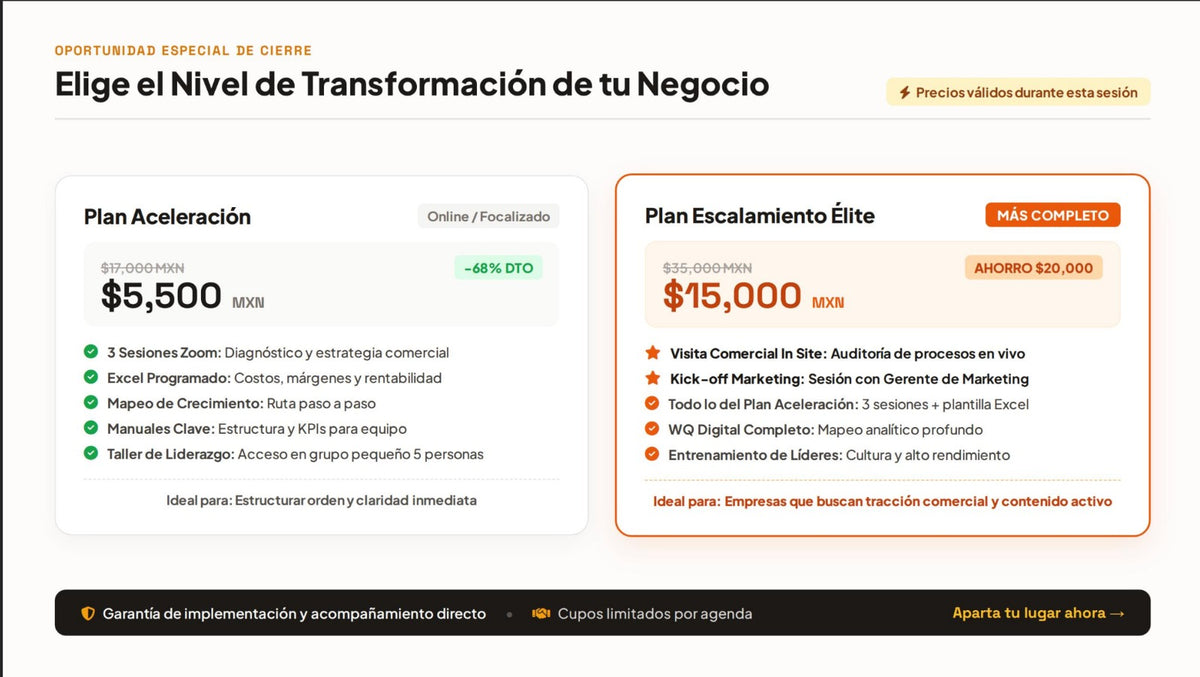 Mentoria Especializada